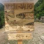 I percorsi di pesca a mosca no-kill sono apprezzati dai pescatori. Questo cartello è stato fatto da un anonimo pescatore (foto M. Baltieri) 